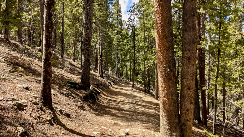 Golden Gate Canyon State Park